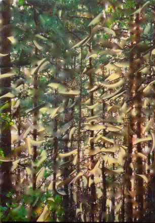 A bit of a year - 2015<br /><br /><h6>Toubkal, Morocco 1</h6>  Mixed media (Artistâ€™s  photography and  acrylic paint) <br /> 590mm x 840mm H <br /><br /><br /><br />
<br /><br /><br /><h7>For sale</h7>